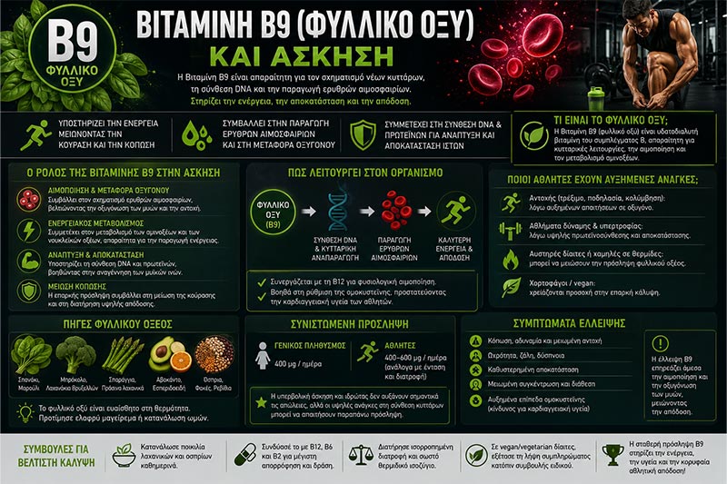 Βιταμίνη B9 και Άσκηση: Αιμοποίηση, Ομοκυστεΐνη και Απόδοση