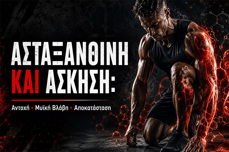 Ασταξανθίνη και Άσκηση: Αντοχή, Μυϊκή Βλάβη και Αποκατάσταση
