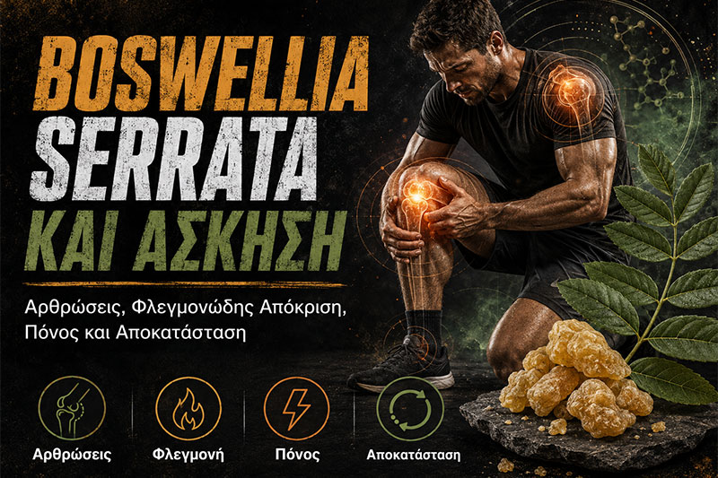Boswellia serrata και Άσκηση: Αρθρώσεις, Μυϊκός Πόνος και Αποκατάσταση