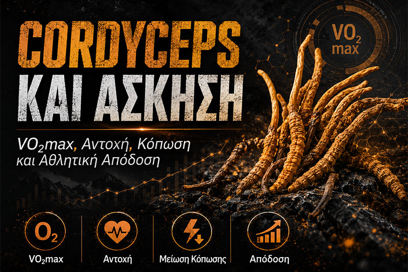 Cordyceps and Exercise: VO₂max, Endurance, Fatigue and Performance