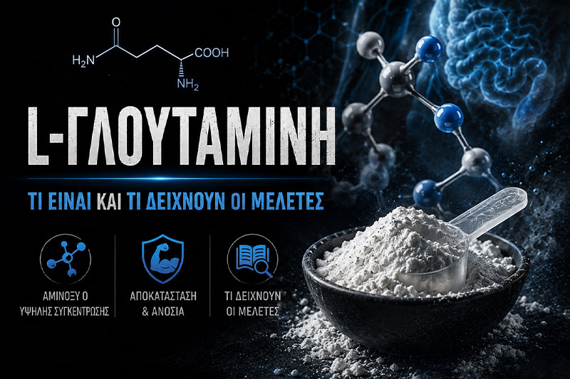 L‑Γλουταμίνη: Τι Είναι και τι Δείχνουν οι Μελέτες