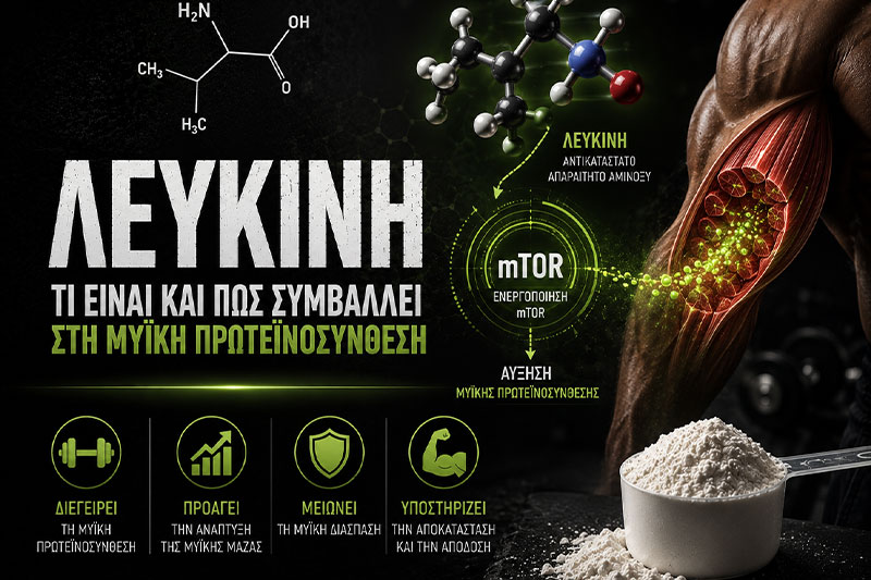 Λευκίνη: Τι Είναι και Πώς Ενεργοποιεί τη Μυϊκή Πρωτεϊνοσύνθεση