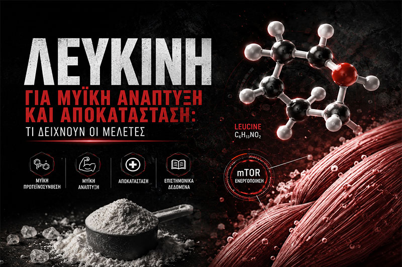 Λευκίνη για Μυϊκή Ανάπτυξη και Αποκατάσταση: Τι Δείχνουν οι Μελέτες