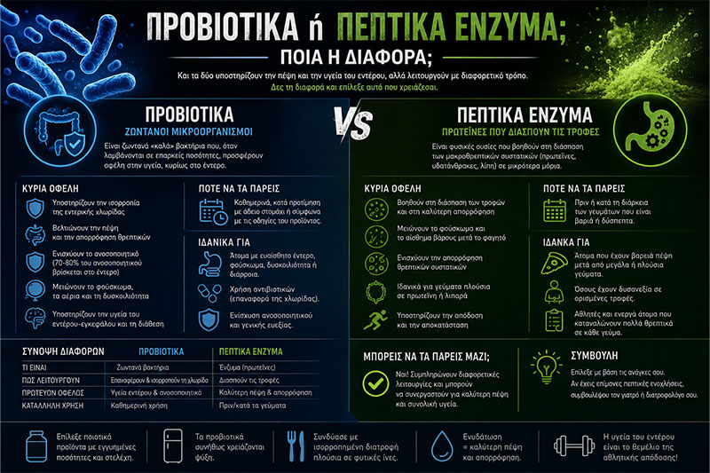 Probiotics vs Digestive Enzymes: Key Differences