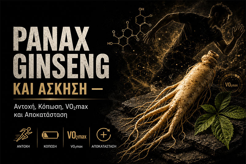 Panax Ginseng and Exercise: Endurance, Fatigue, VO₂max and Recovery