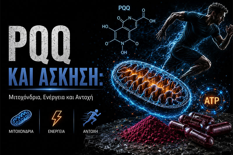 PQQ and Exercise: Mitochondria, Energy and Endurance