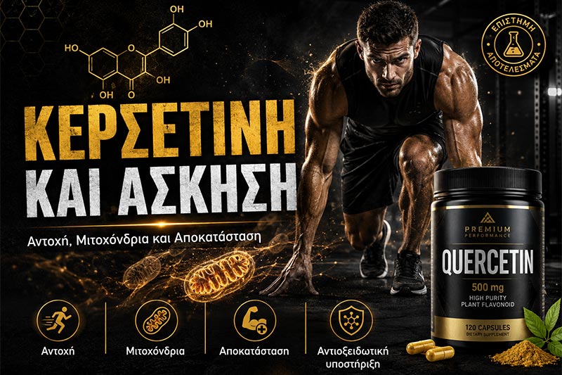 Quercetin and Exercise: Endurance, Mitochondria and Recovery