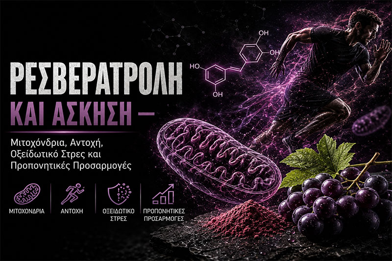 Resveratrol and Exercise: Mitochondria, Endurance and Training Adaptations