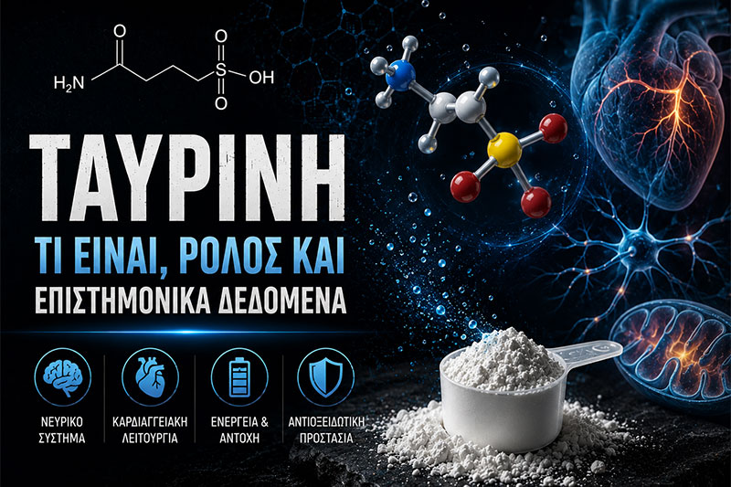 Ταυρίνη: Τι Είναι, Ρόλος και Επιστημονικά Δεδομένα