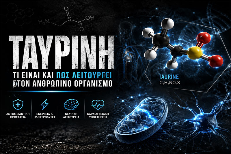Ταυρίνη: Τι Είναι και Πώς Λειτουργεί στον Οργανισμό