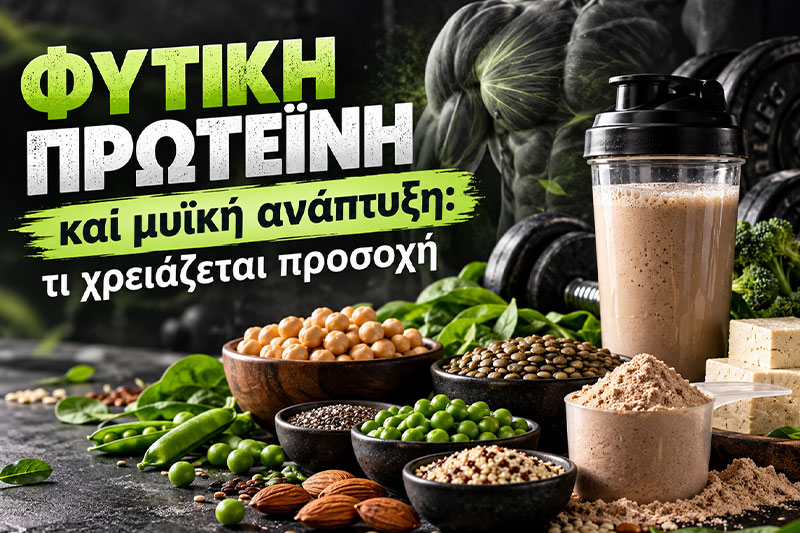 Φυτική πρωτεΐνη και μυϊκή ανάπτυξη: τι χρειάζεται προσοχή