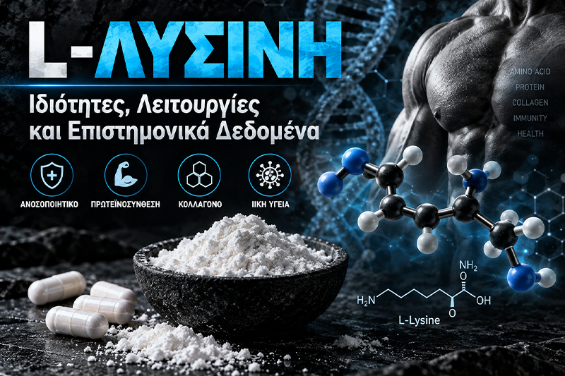 L-Λυσίνη: Ιδιότητες, Λειτουργίες και Επιστημονικά Δεδομένα