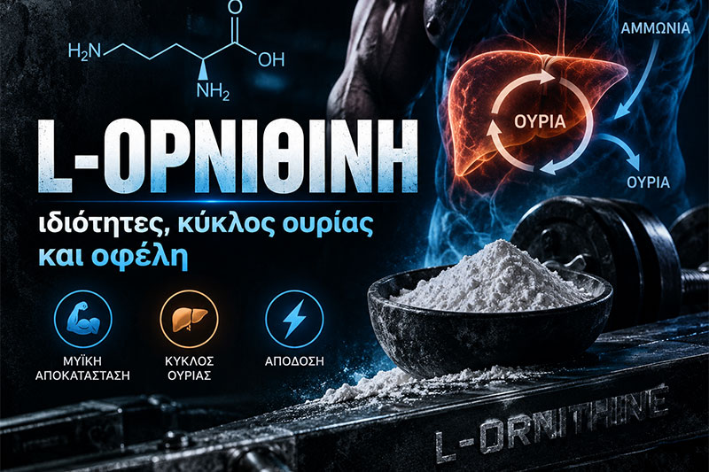 L-Ορνιθίνη: ιδιότητες, κύκλος ουρίας και οφέλη