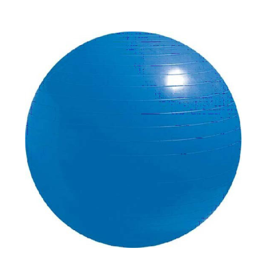 Yoga - Pilates MDS Gym Ball 65cm