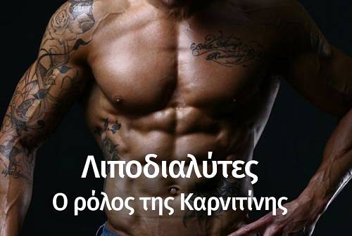 Λιποδιαλύτες: Καρνιτίνη