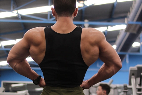 Κρεατίνη: οφέλη σε μεγάλες ηλικίες