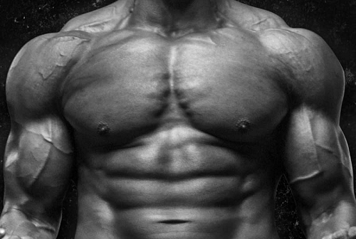 Ο ρόλος της άσκησης και της L-γλουταμίνης στη ρύθμιση του οξειδωτικού στρες