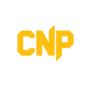 CNP Professional